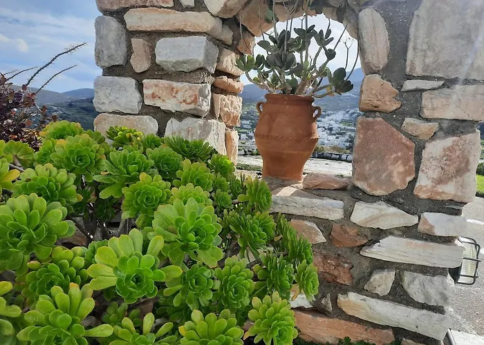 Semesterbostad Paros Traditional Windmill In Lefkes