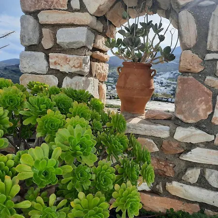 Casa de Férias Paros Traditional Windmill In Lefkes
