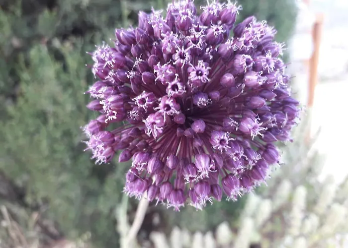 Paros Traditional Windmill In Lefkes Hébergement de vacances Lefkes (Paros)